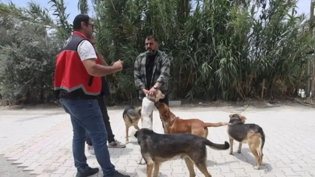 683723ec519c0_hatayda-kuduz-alarmi-4-mahalle-karantinada-1024x576 Hatay'da Kuduz Alarmı: 4 Mahalle Karantinada